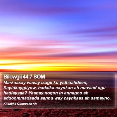 Bilowgii 44:7 SOM Bible Verse Image