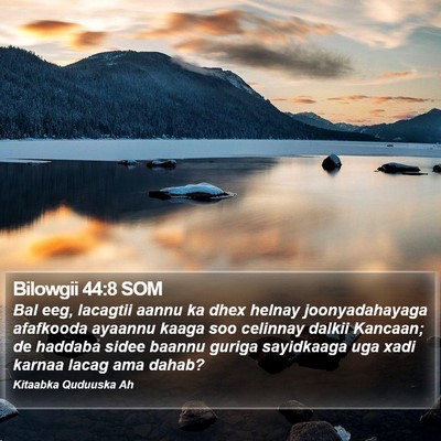 Bilowgii 44:8 SOM Bible Verse Image