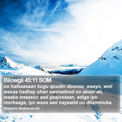 Bilowgii 45:11 SOM Bible Verse Image