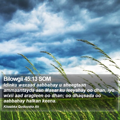 Bilowgii 45:13 SOM Bible Verse Image