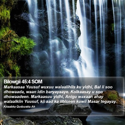 Bilowgii 45:4 SOM Bible Verse Image
