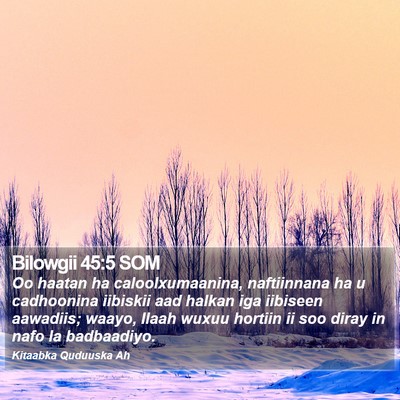 Bilowgii 45:5 SOM Bible Verse Image