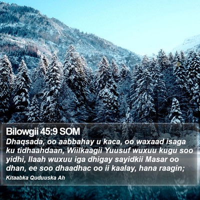 Bilowgii 45:9 SOM Bible Verse Image