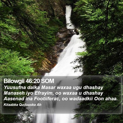 Bilowgii 46:20 SOM Bible Verse Image
