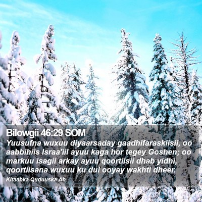 Bilowgii 46:29 SOM Bible Verse Image