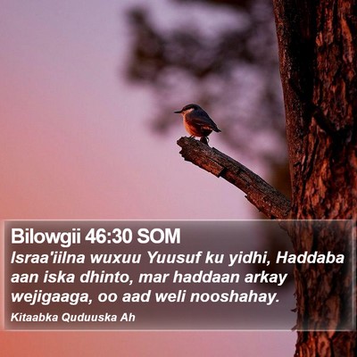 Bilowgii 46:30 SOM Bible Verse Image