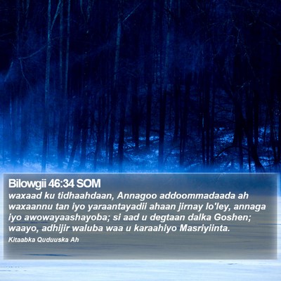 Bilowgii 46:34 SOM Bible Verse Image