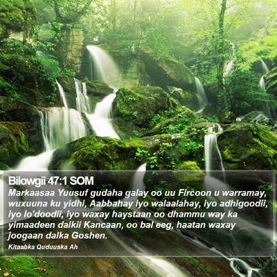 Bilowgii 47:1 SOM Bible Verse Image