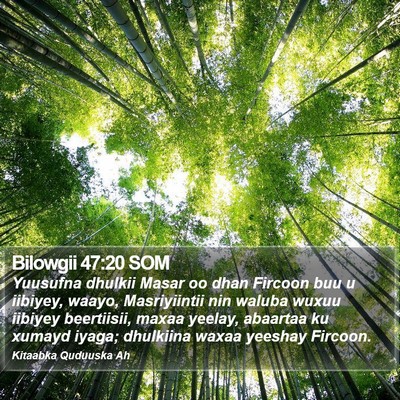 Bilowgii 47:20 SOM Bible Verse Image
