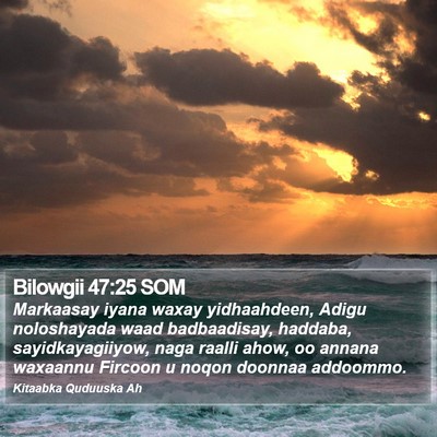 Bilowgii 47:25 SOM Bible Verse Image