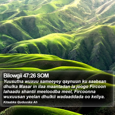 Bilowgii 47:26 SOM Bible Verse Image