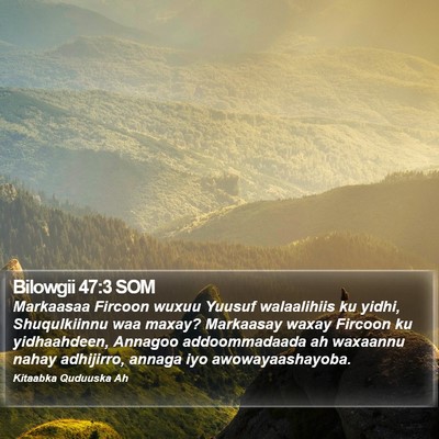 Bilowgii 47:3 SOM Bible Verse Image