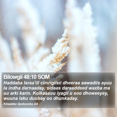 Bilowgii 48:10 SOM Bible Verse Image