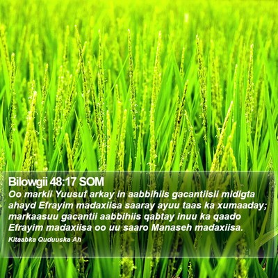 Bilowgii 48:17 SOM Bible Verse Image