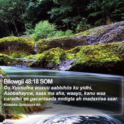 Bilowgii 48:18 SOM Bible Verse Image
