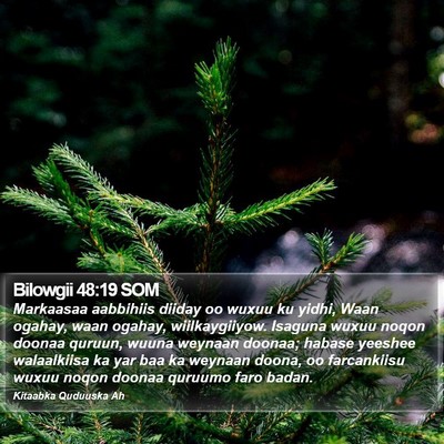 Bilowgii 48:19 SOM Bible Verse Image