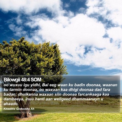 Bilowgii 48:4 SOM Bible Verse Image