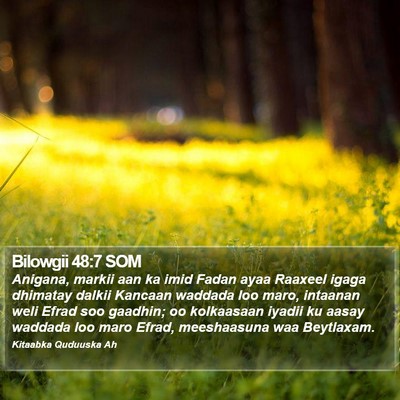 Bilowgii 48:7 SOM Bible Verse Image