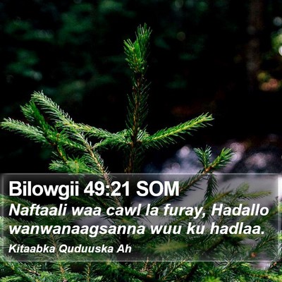 Bilowgii 49:21 SOM Bible Verse Image