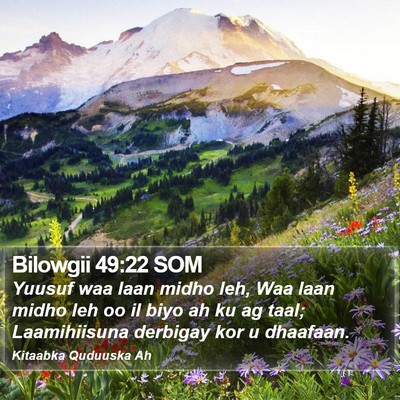 Bilowgii 49:22 SOM Bible Verse Image