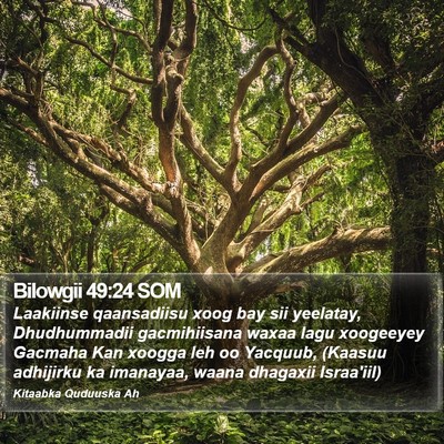 Bilowgii 49:24 SOM Bible Verse Image