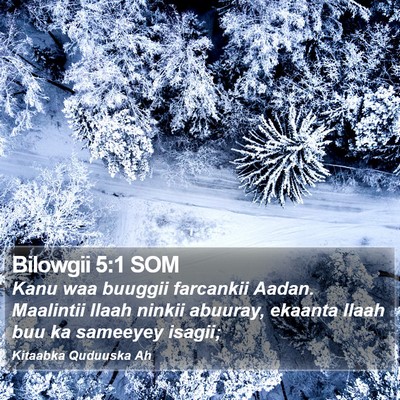 Bilowgii 5:1 SOM Bible Verse Image