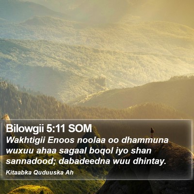 Bilowgii 5:11 SOM Bible Verse Image