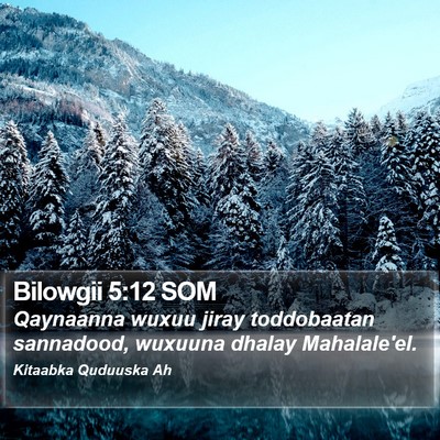 Bilowgii 5:12 SOM Bible Verse Image