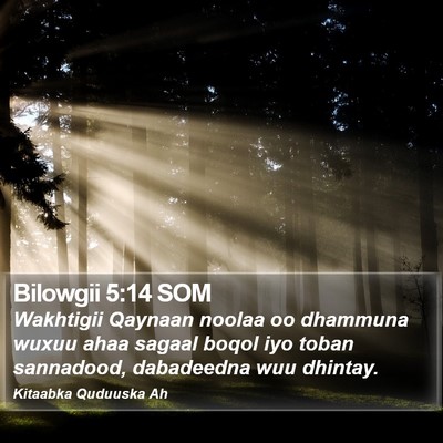 Bilowgii 5:14 SOM Bible Verse Image
