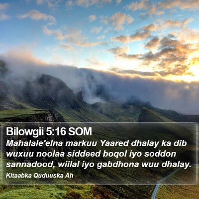 Bilowgii 5:16 SOM Bible Verse Image