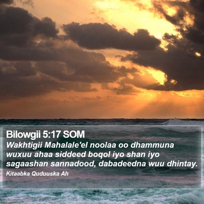 Bilowgii 5:17 SOM Bible Verse Image