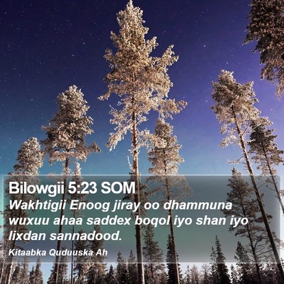 Bilowgii 5:23 SOM Bible Verse Image