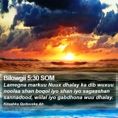 Bilowgii 5:30 SOM Bible Verse Image