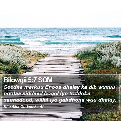 Bilowgii 5:7 SOM Bible Verse Image