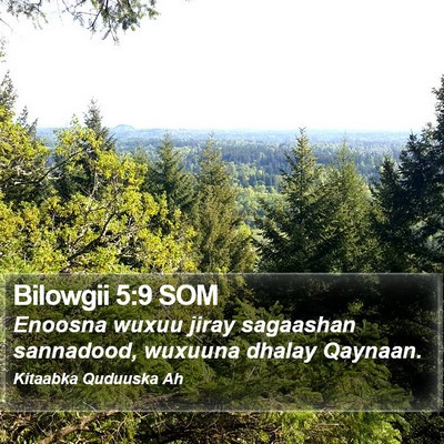 Bilowgii 5:9 SOM Bible Verse Image