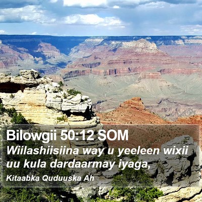 Bilowgii 50:12 SOM Bible Verse Image