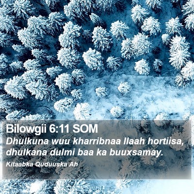 Bilowgii 6:11 SOM Bible Verse Image