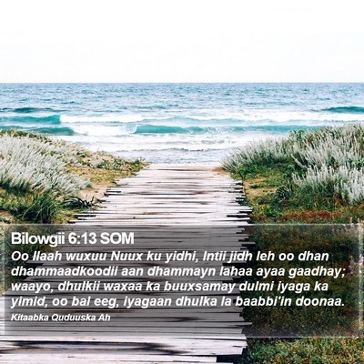 Bilowgii 6:13 SOM Bible Verse Image