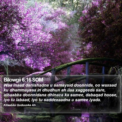 Bilowgii 6:16 SOM Bible Verse Image