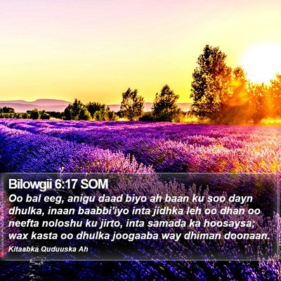 Bilowgii 6:17 SOM Bible Verse Image