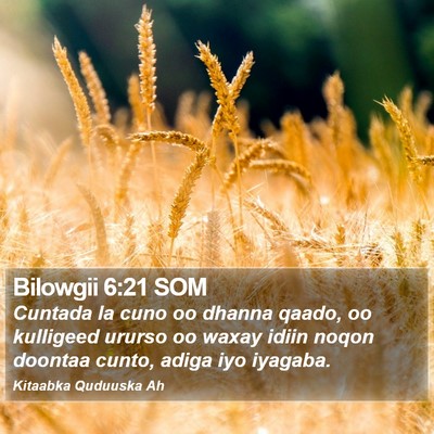 Bilowgii 6:21 SOM Bible Verse Image