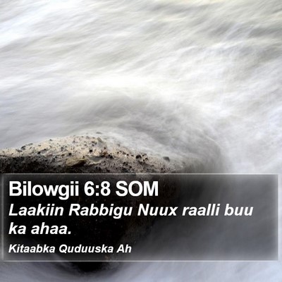 Bilowgii 6:8 SOM Bible Verse Image