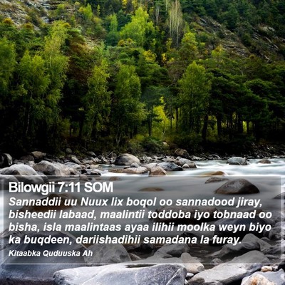 Bilowgii 7:11 SOM Bible Verse Image