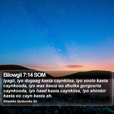 Bilowgii 7:14 SOM Bible Verse Image