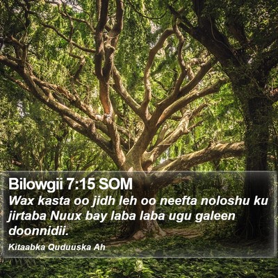 Bilowgii 7:15 SOM Bible Verse Image