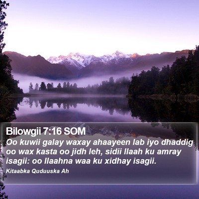 Bilowgii 7:16 SOM Bible Verse Image