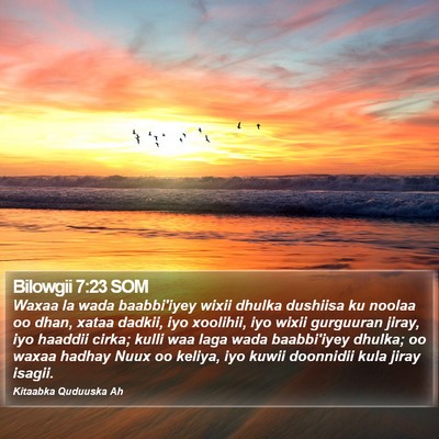 Bilowgii 7:23 SOM Bible Verse Image