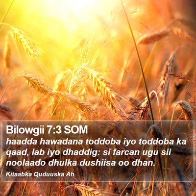 Bilowgii 7:3 SOM Bible Verse Image