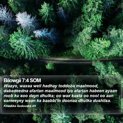 Bilowgii 7:4 SOM Bible Verse Image