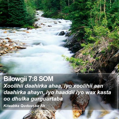 Bilowgii 7:8 SOM Bible Verse Image